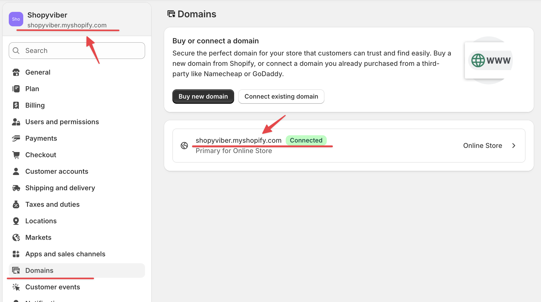 Shopify Domains Settings